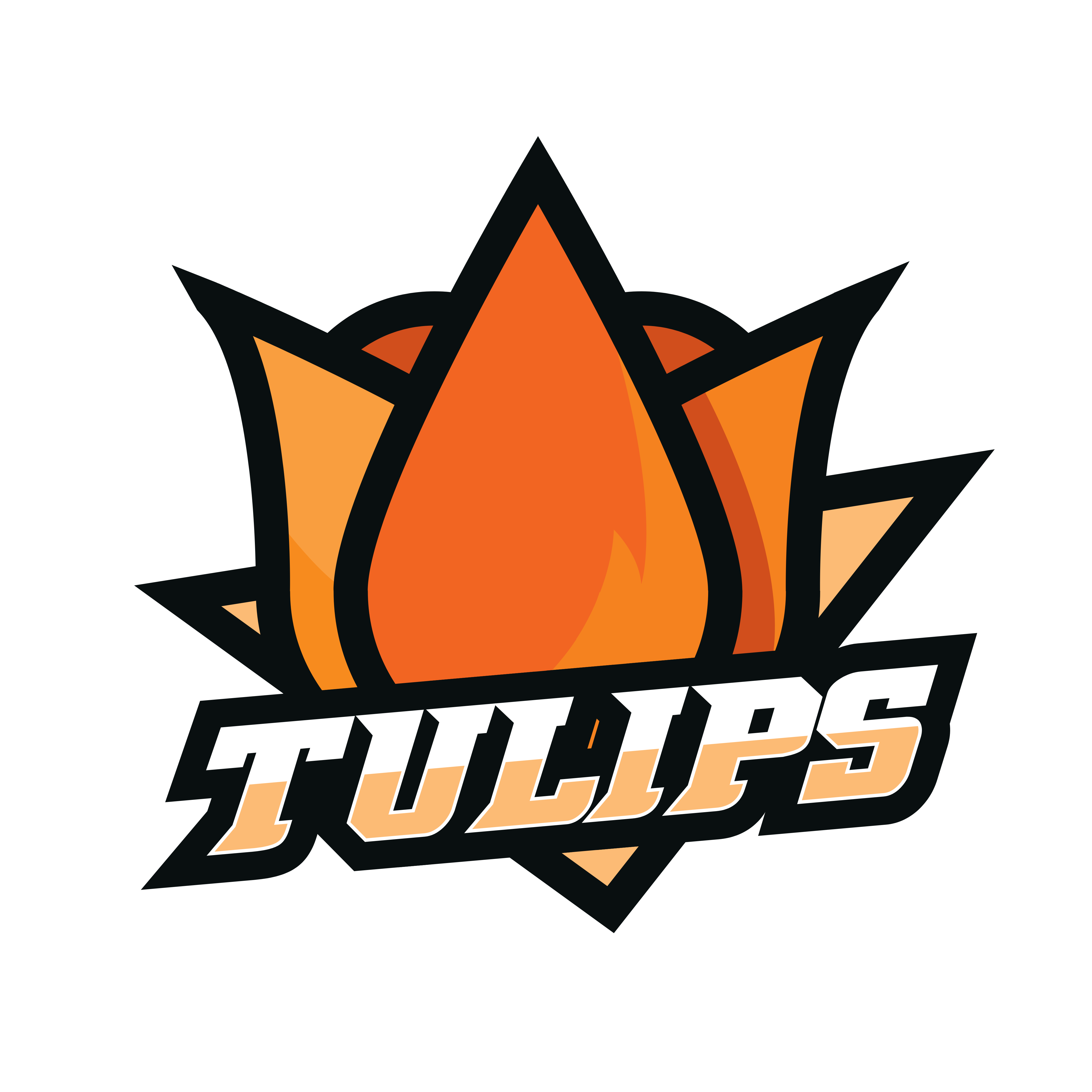 Tulips Flag Football